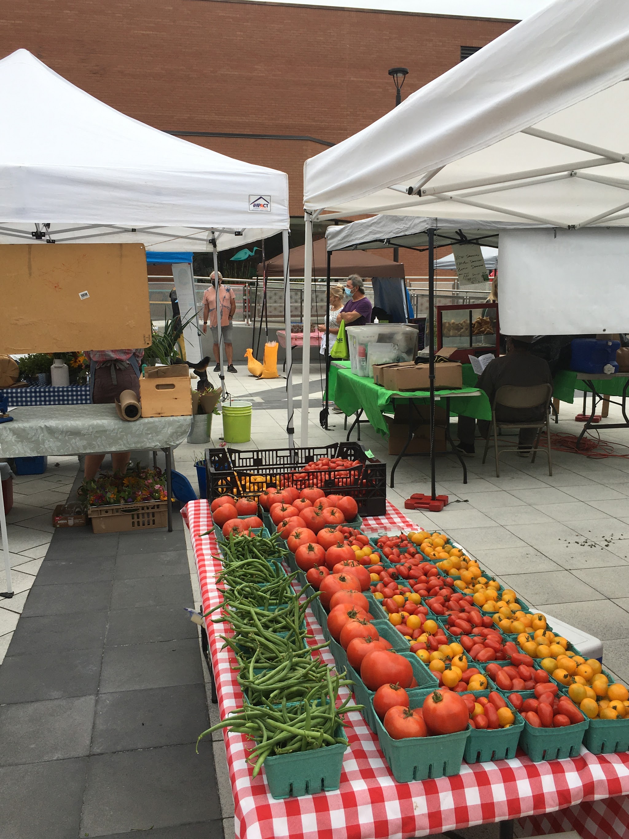 Weekly farmer's market at Peterborough Square with tables of heirloom tomatoes, green beans, and other produce